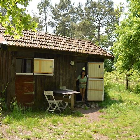 Cabane en forêt Onesse-et-Laharie Exterior foto