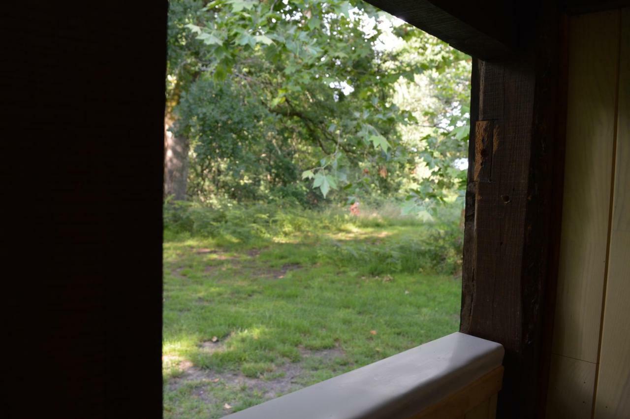 Cabane en forêt Onesse-et-Laharie Exterior foto